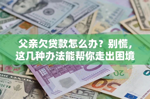 武汉父亲欠贷款怎么办?别慌,这几种办法能帮你走出困境 武汉父亲欠贷款怎么办?别慌,这几种办法能帮你走出困境