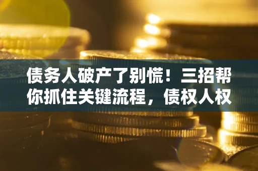 武汉债务人破产了别慌!三招帮你抓住关键流程,债权人权益不再缩水 武汉债务人破产了别慌!三招帮你抓住关键流程,债权人权益不再缩水